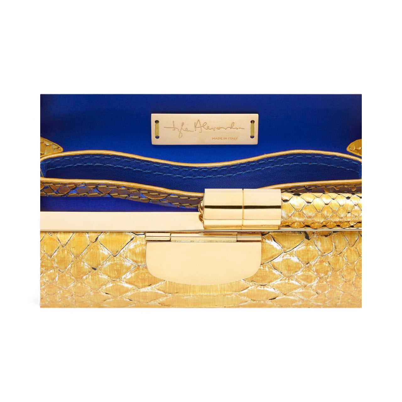 Anjuli Clutch (The Vault)